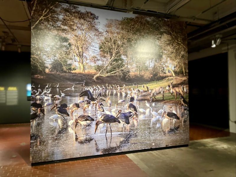 The Momentary, Bentonville