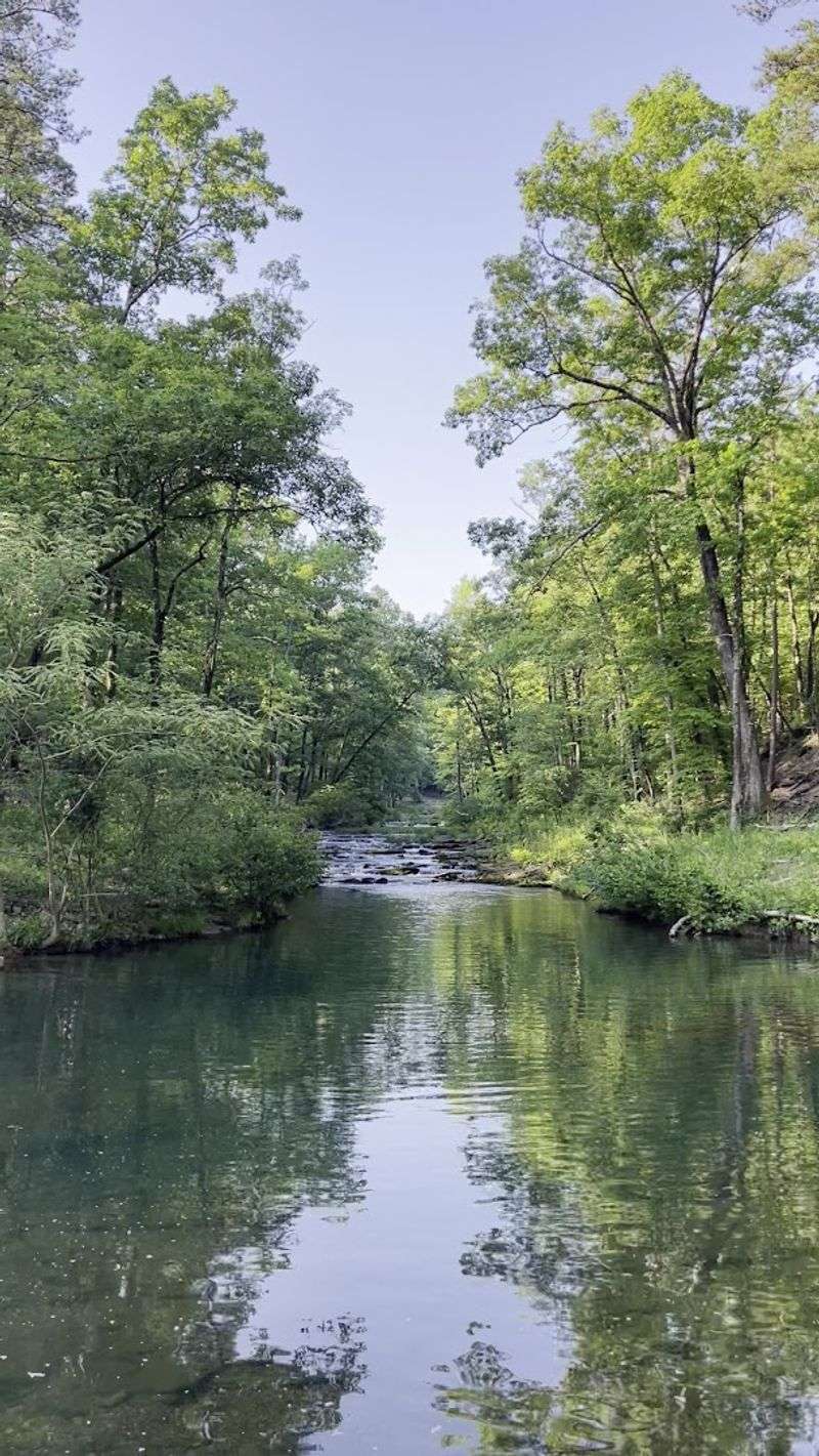 The Forest Setting That Makes It Even Better