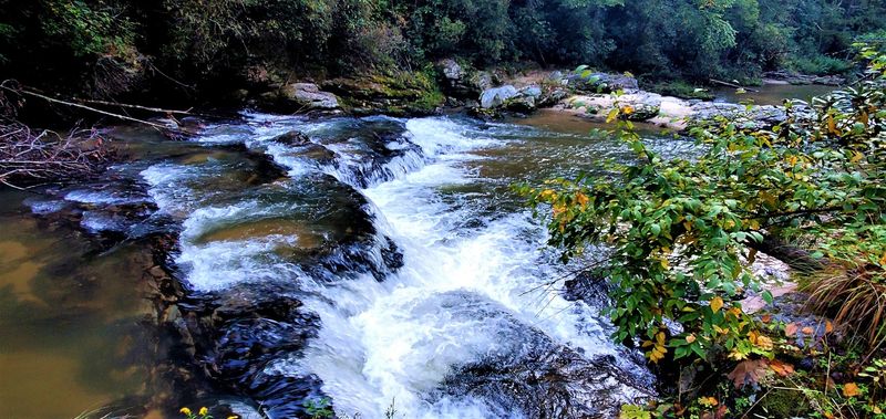 Crystal-Clear Mountain Streams For Fly Fishing