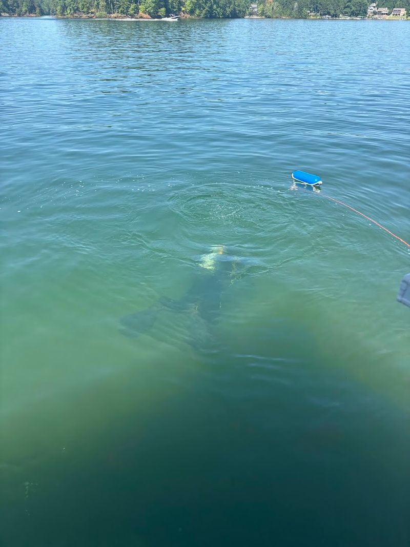 Crystal Clear Water Hides A Dark Past