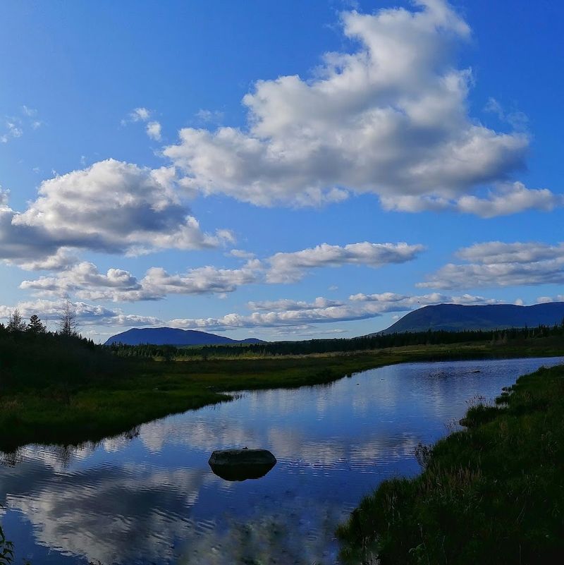 Island-Dotted Landscape