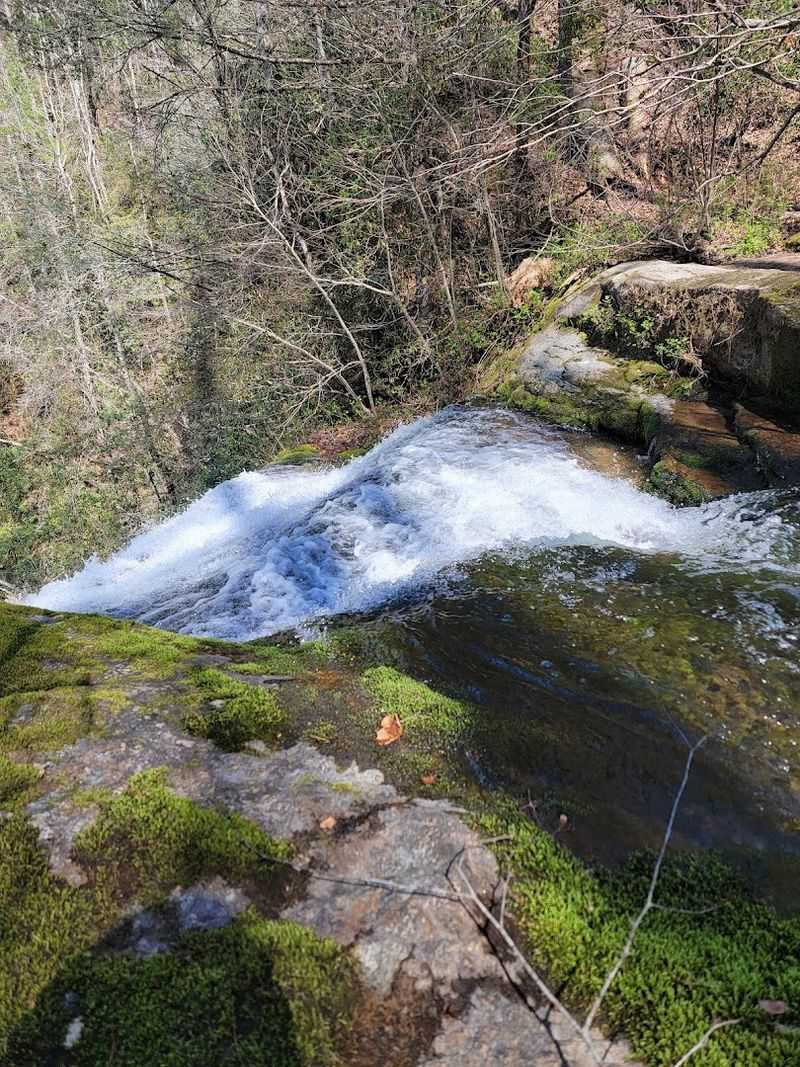 Laurel Fork Campground Nearby