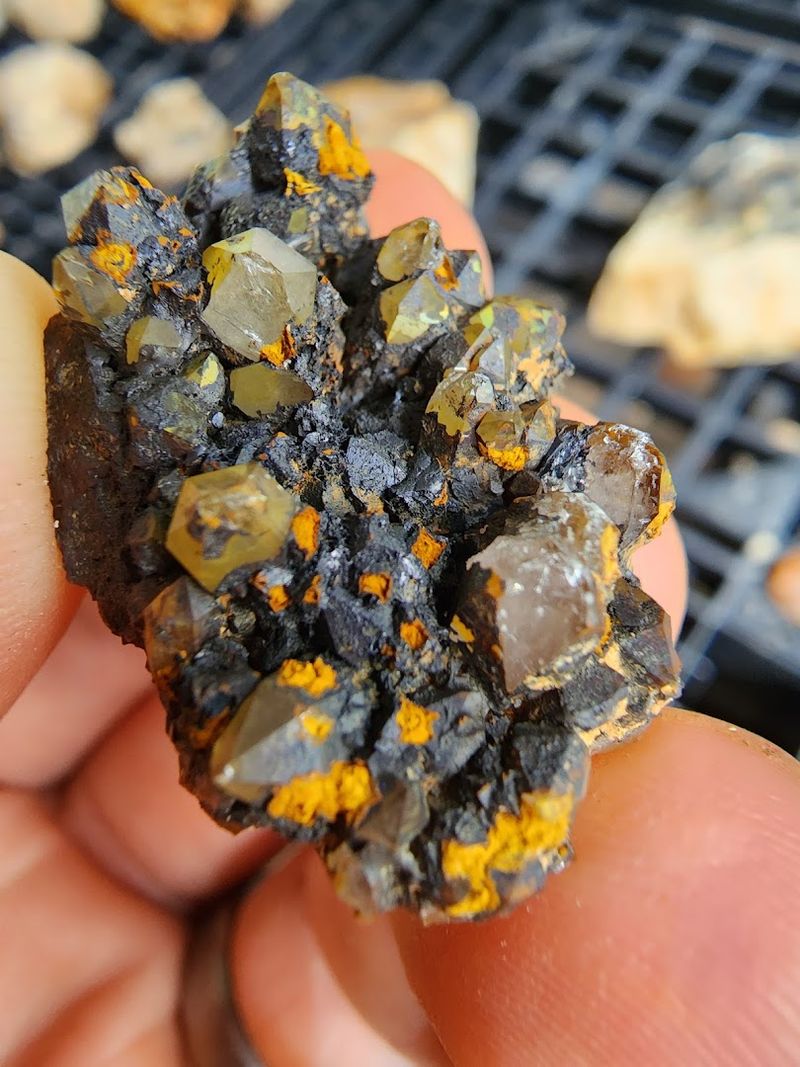 Crystals Everywhere You Look