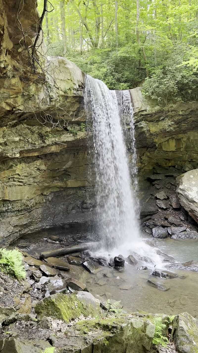 Cucumber Falls Trail, Ohiopyle, Pennsylvania