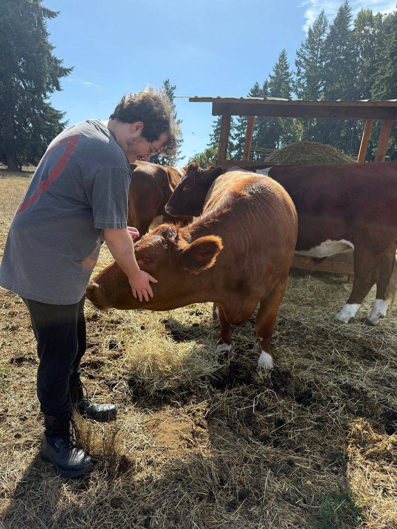 Cuddling Cows That Melt Your Heart