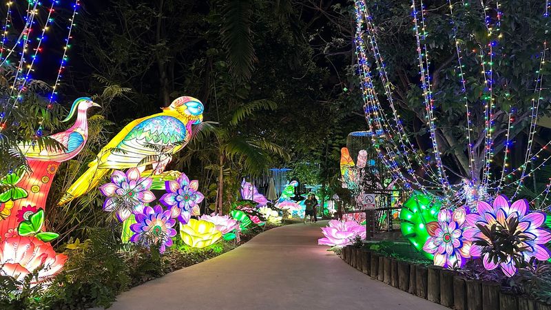 Perfect Evening Hours For Spring Visits