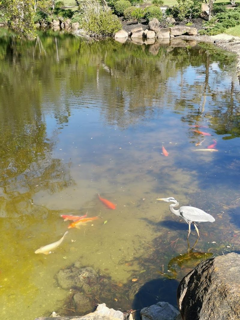 Cornell Café Brings Authentic Flavors