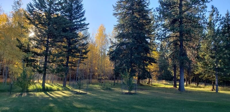 Curlew Lake Is Practically Your Backyard