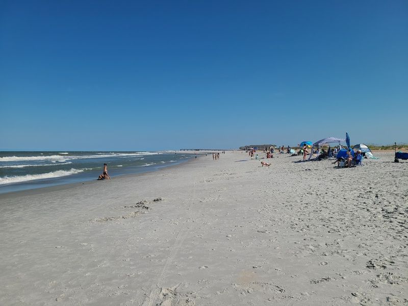 Anastasia State Park Beach (St. Augustine)
