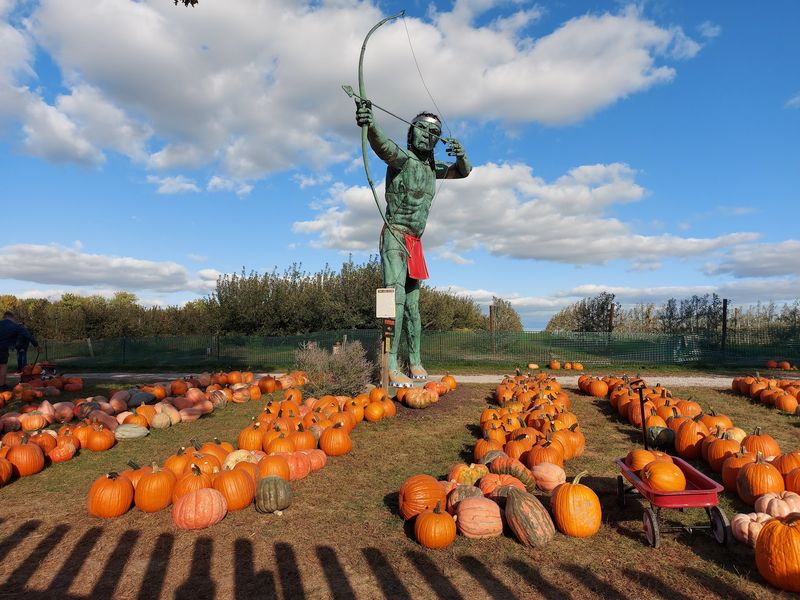 Curtis Orchard & Pumpkin Patch, Champaign, IL