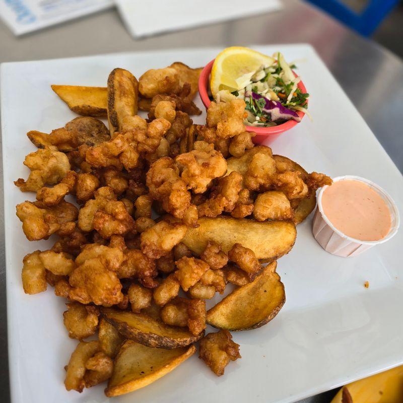 Practical Details: Contact, Location, And Access