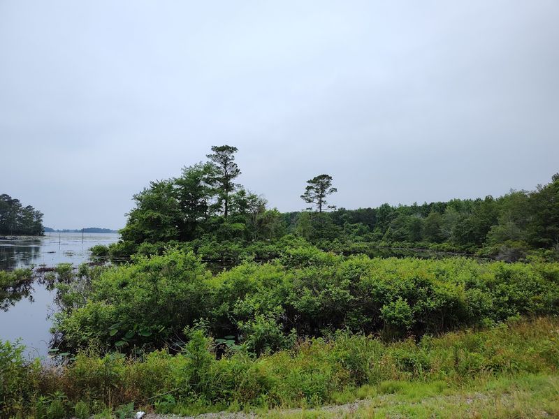 Drift Fishing Tactics Across Productive Flats