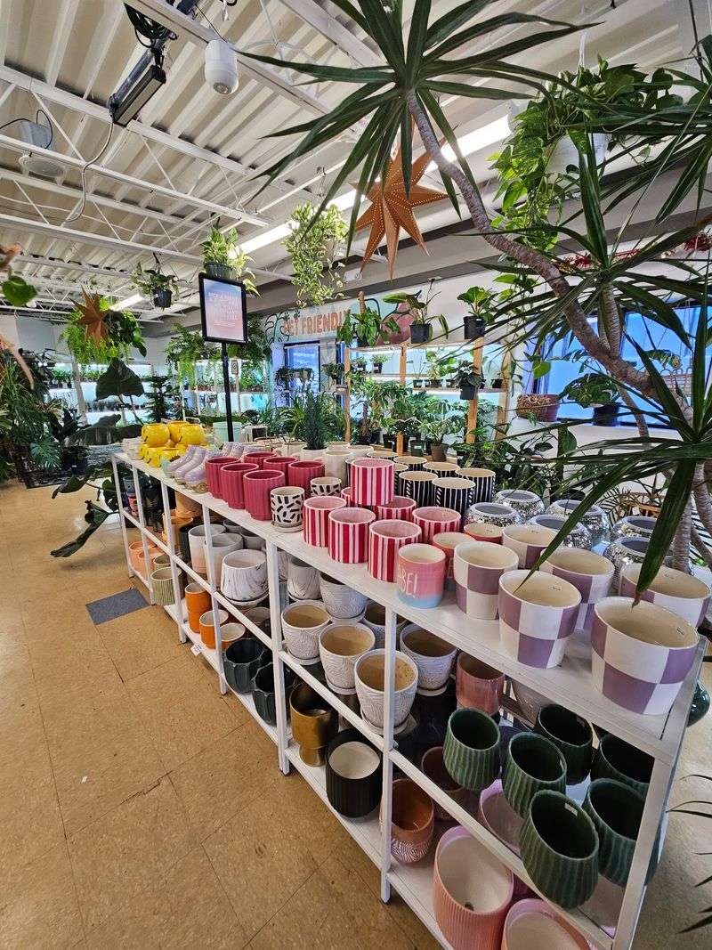 Cute Pots And Quirky Planters Galore