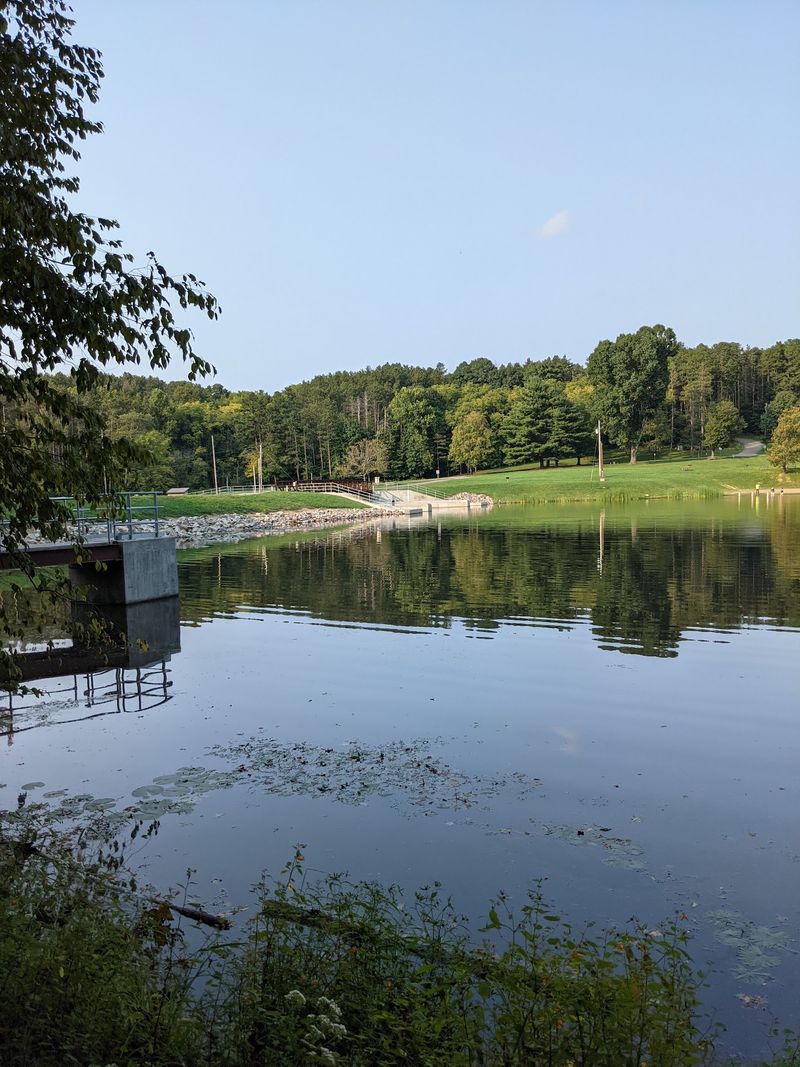 Cutler Lake Road, Philo Cutler Lake Road, Philo