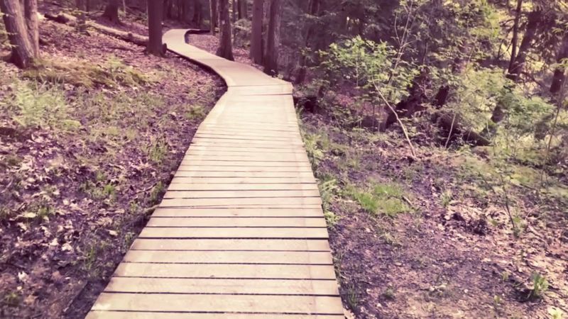 Mohican State Park, Loudonville, Ohio