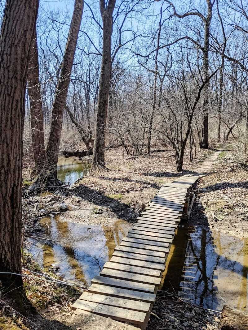 Cycling And Trail Life Along The Shore
