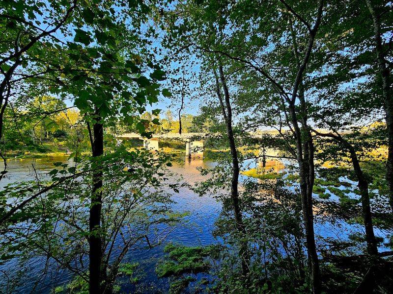 Glasses Catch Fire As The Sun Slips Behind The Trees