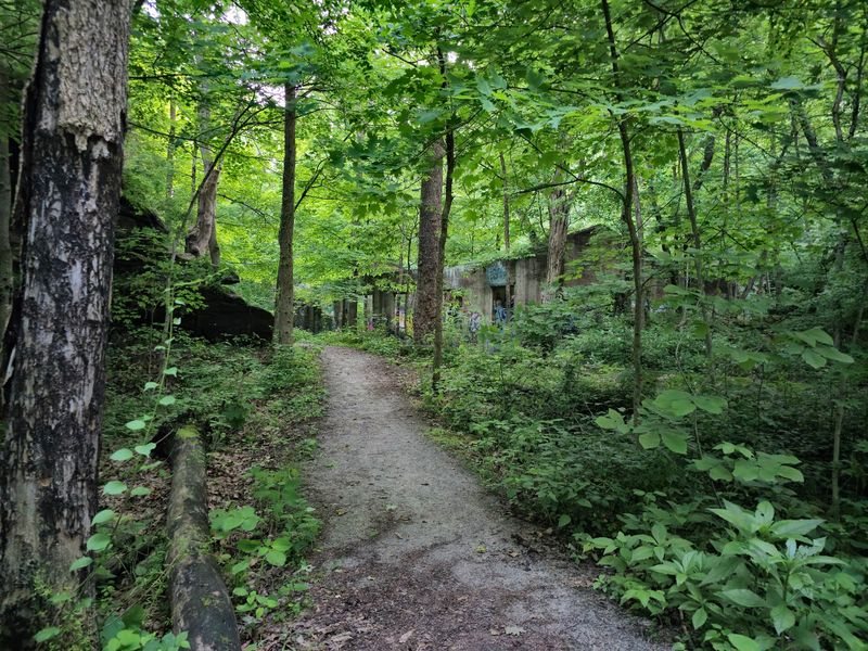 D*ad Man's Hollow Industrial Ruins, Liberty Borough