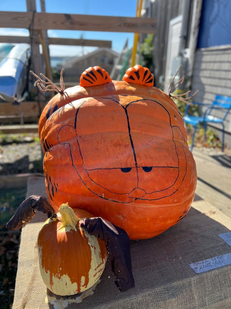 Damariscotta Pumpkinfest & Regatta, Damariscotta Damariscotta Pumpkinfest & Regatta, Damariscotta