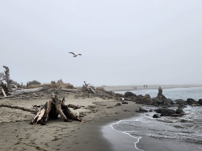 Damon Point, Ocean Shores