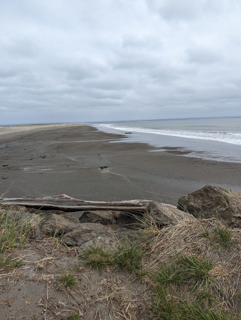 Damon Point