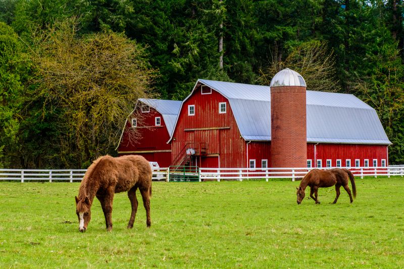 Clarke County Scenic Driving Tour In The Northern Piedmont