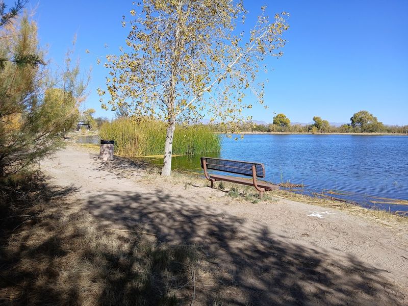 Dankworth Pond State Park, Safford, Arizona Dankworth Pond State Park, Safford, Arizona