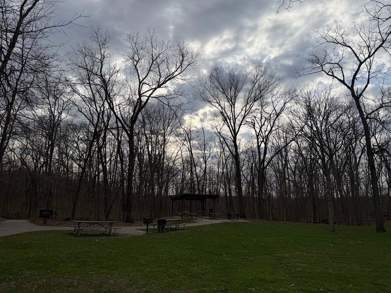 The Trail System Here Is Seriously Impressive