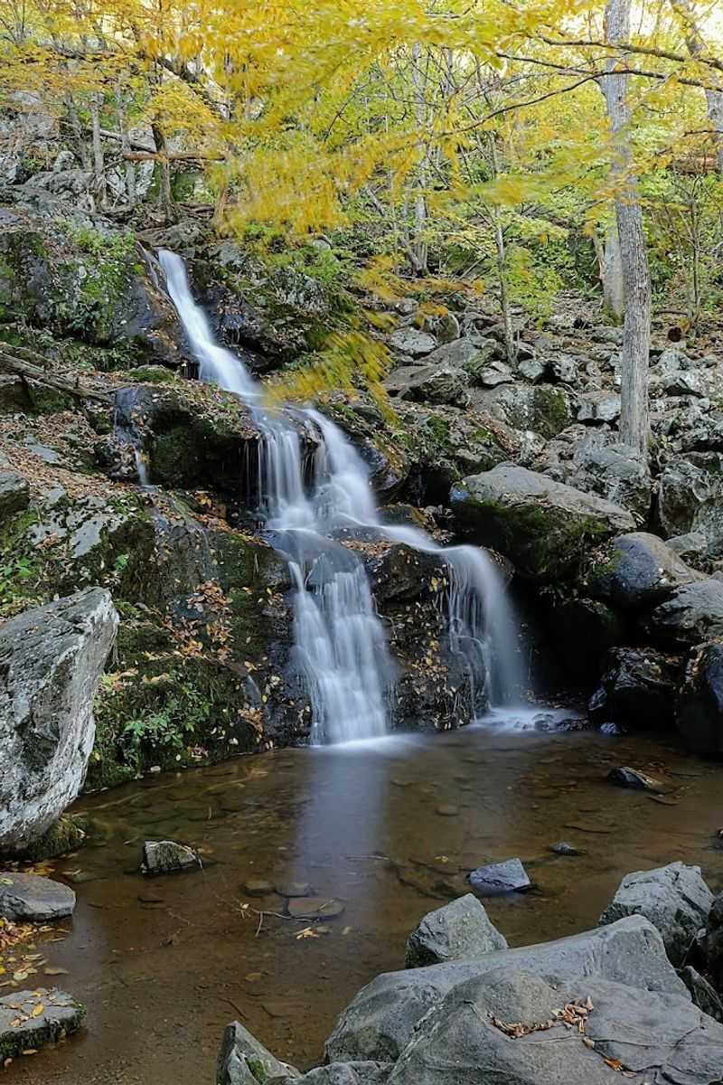 Dark Hollow Falls Trail