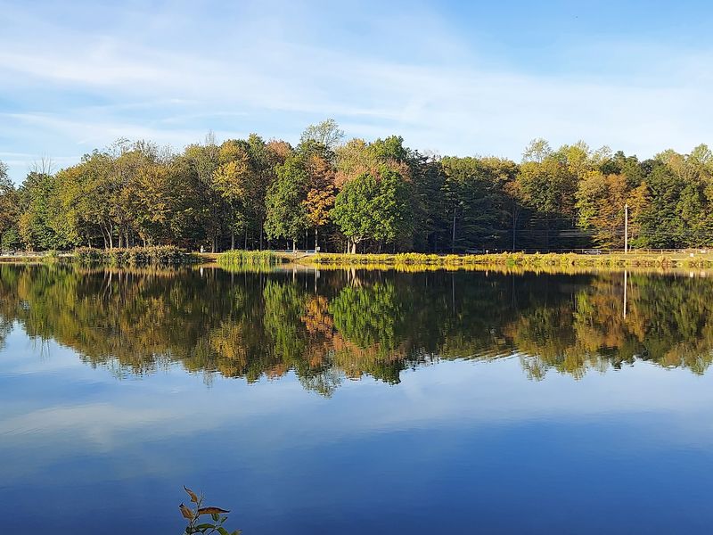 Darlington Lake At Darlington County Park