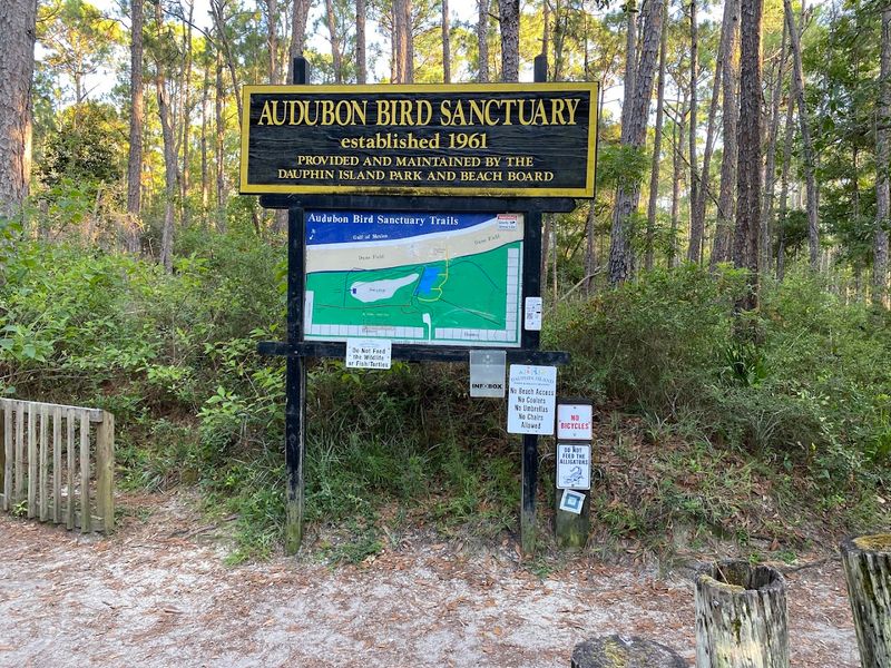 Dauphin Island Audubon Bird Sanctuary Dauphin Island Audubon Bird Sanctuary