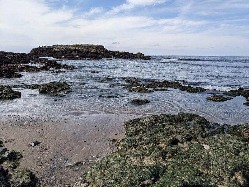Pescadero State Beach, San Mateo County