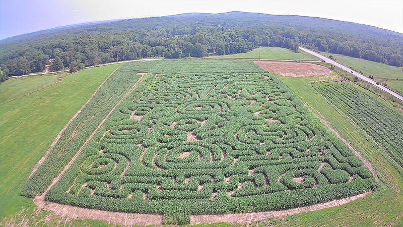 Davis Family Farm, Kenduskeag Davis Family Farm, Kenduskeag