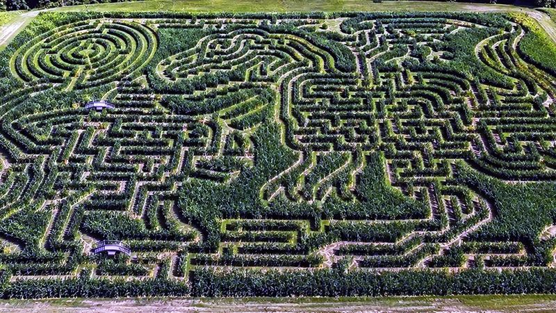 Davis Family Farm, Kenduskeag