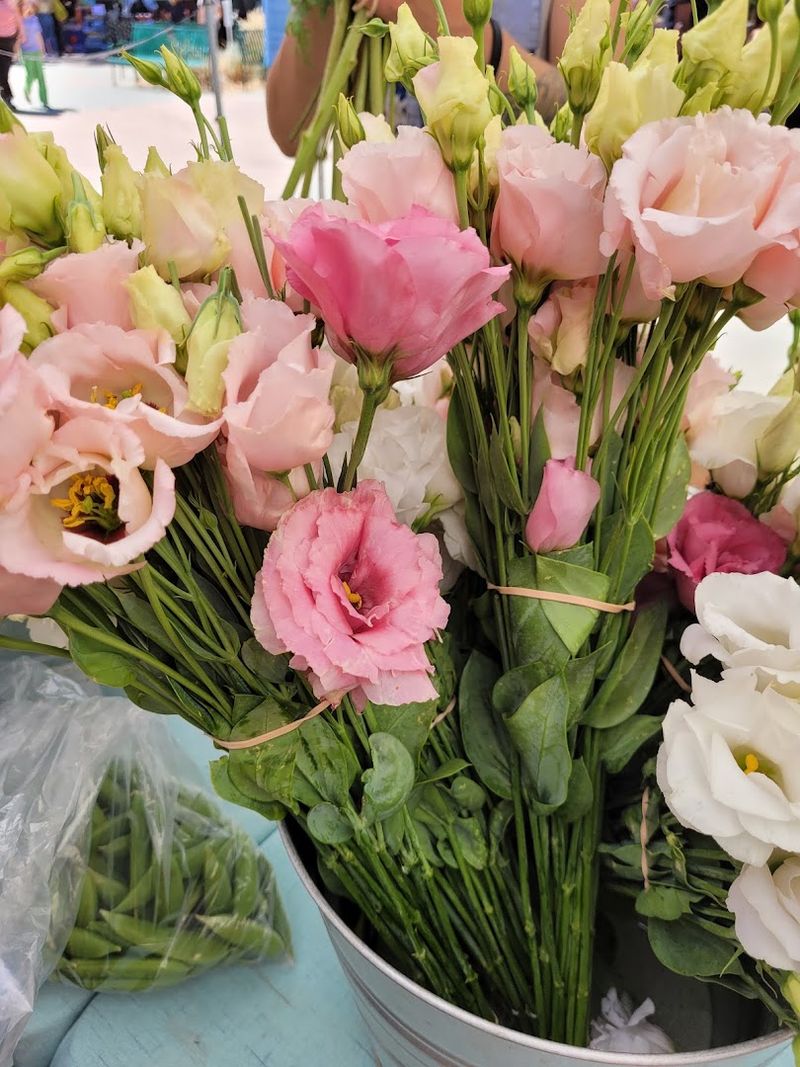 Davis Farmers Market, Davis Davis Farmers Market, Davis