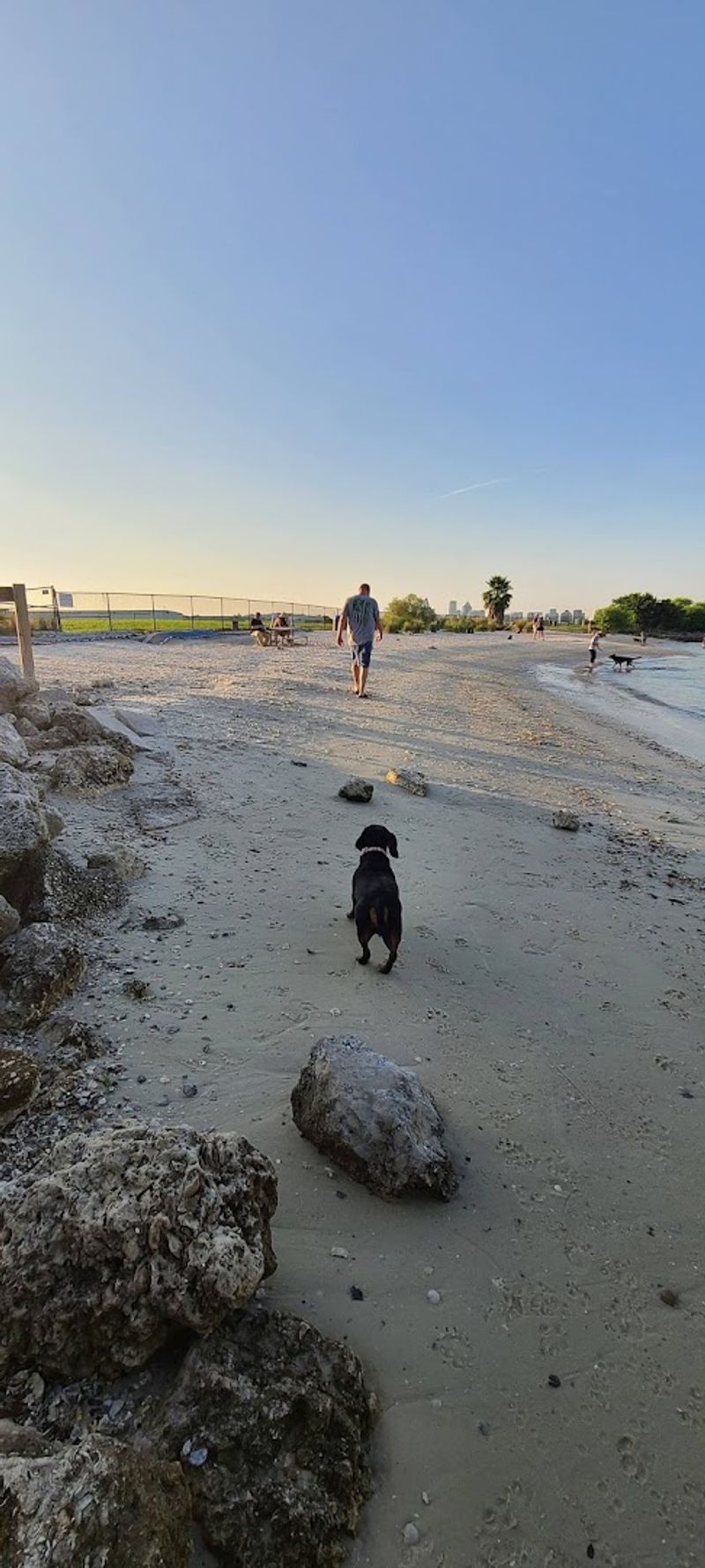 Davis Islands Dog Beach