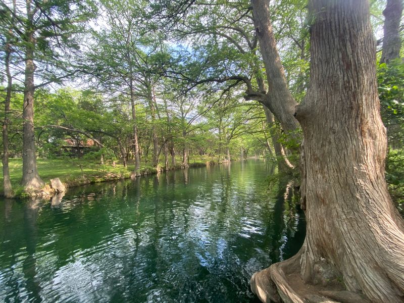 Blue Hole Regional Park - Wimberley, Texas