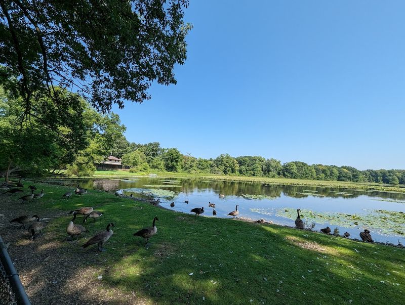 A Lakeside Haven For Wildlife Enthusiasts