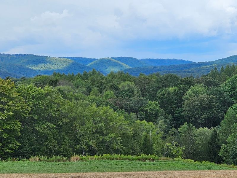 The Remote Location Requires Planning and Preparation