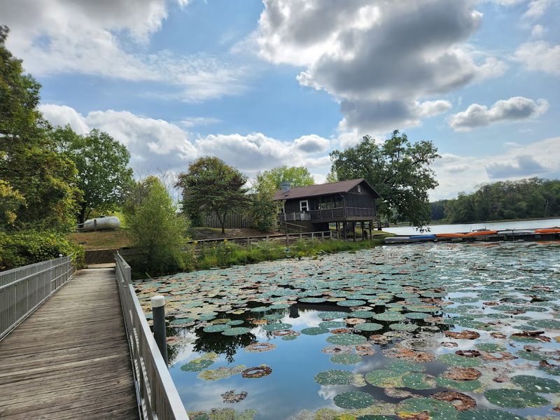 The Unspoken Agreement Among Visitors