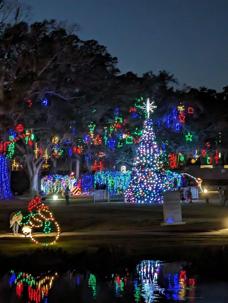 Dazzling Christmas Lights On The Water