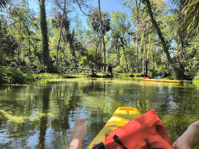 Rock Springs Run At Kelly Park, Apopka