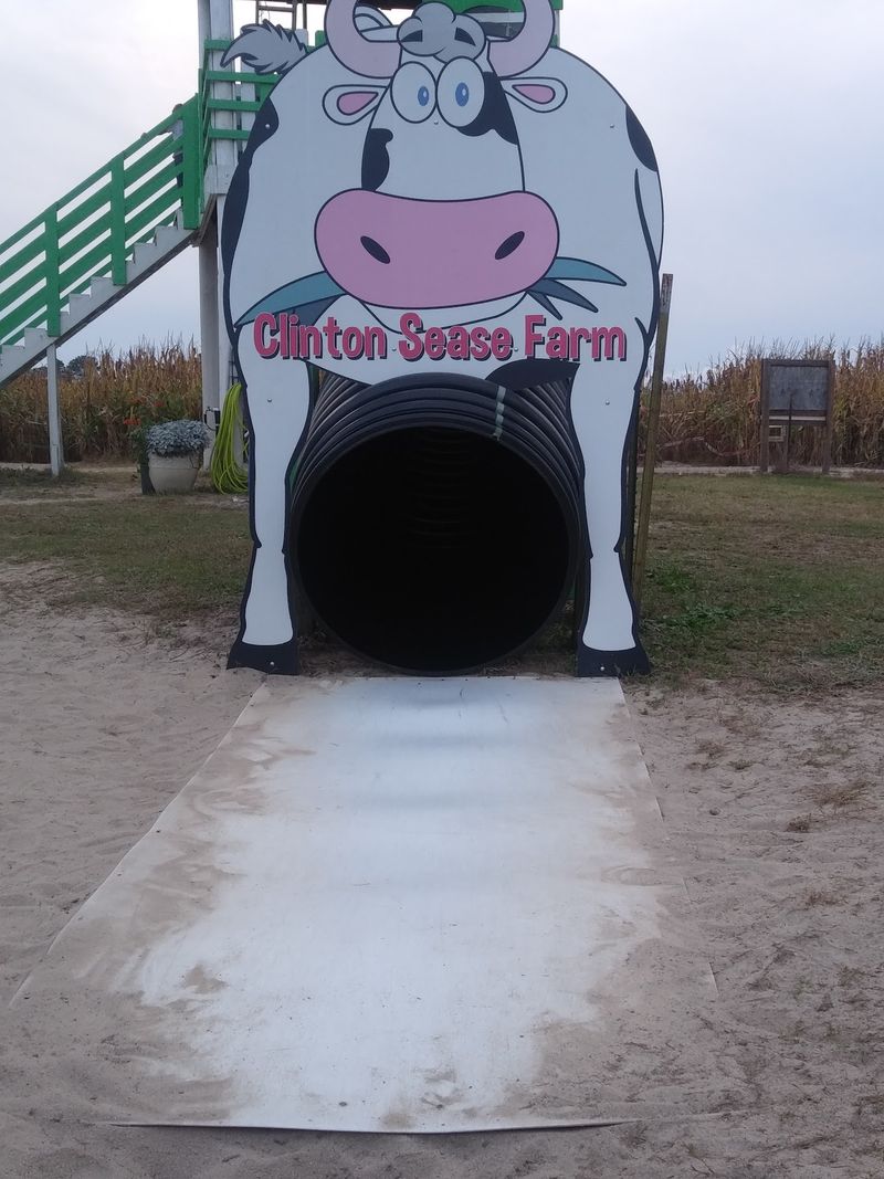 De-Sease-d Farm After Dark De-Sease-d Farm After Dark