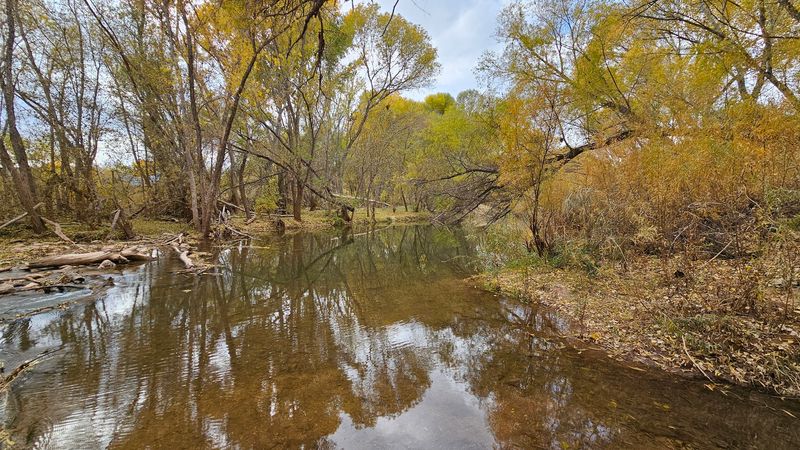 Dead Horse Ranch State Park Trails, Cottonwood