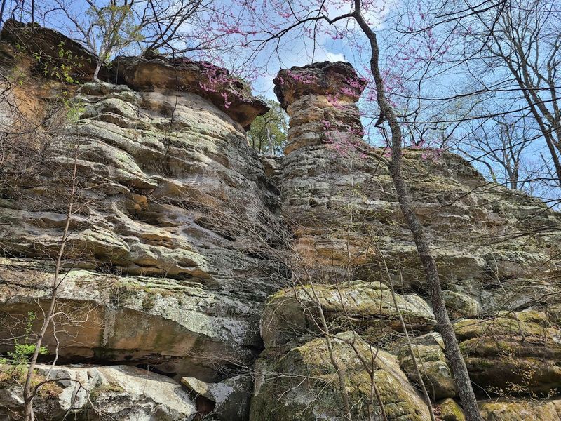 Devil's Standtable Nature Trail