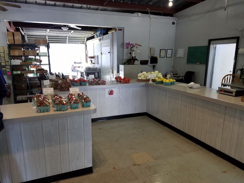 The Iconic Cinnamon Rolls