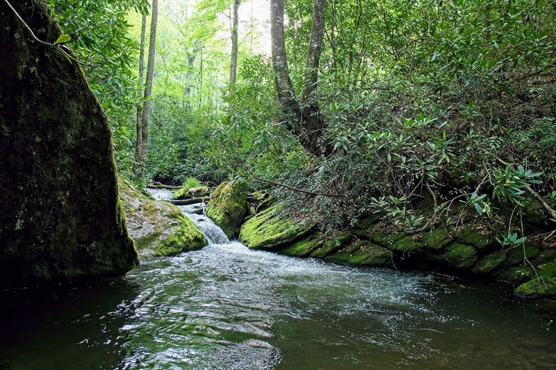 Deep Creek