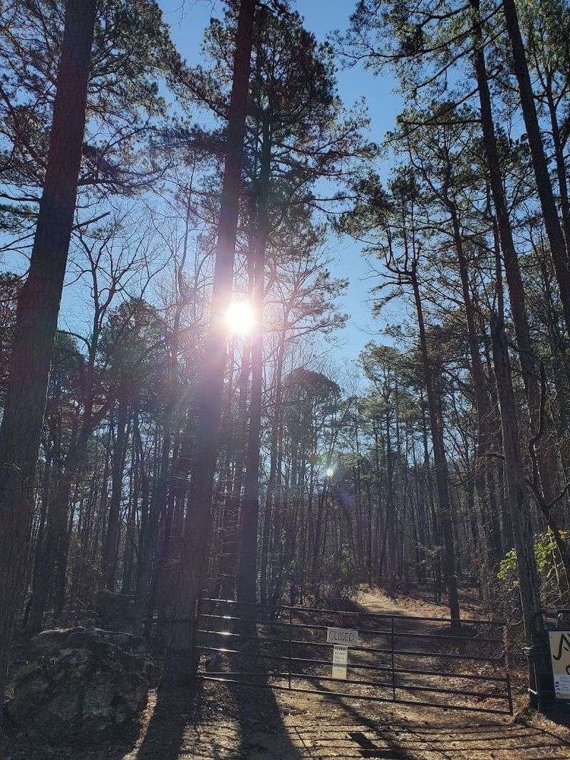 Deep In The Ouachita Woods