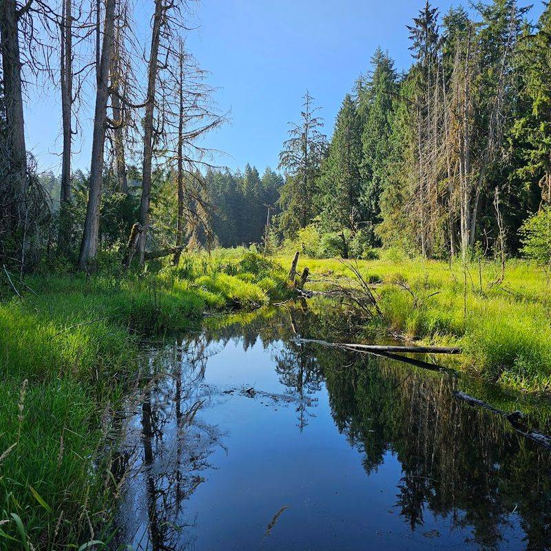 Deep Lake And Its Famously Calm Waters
