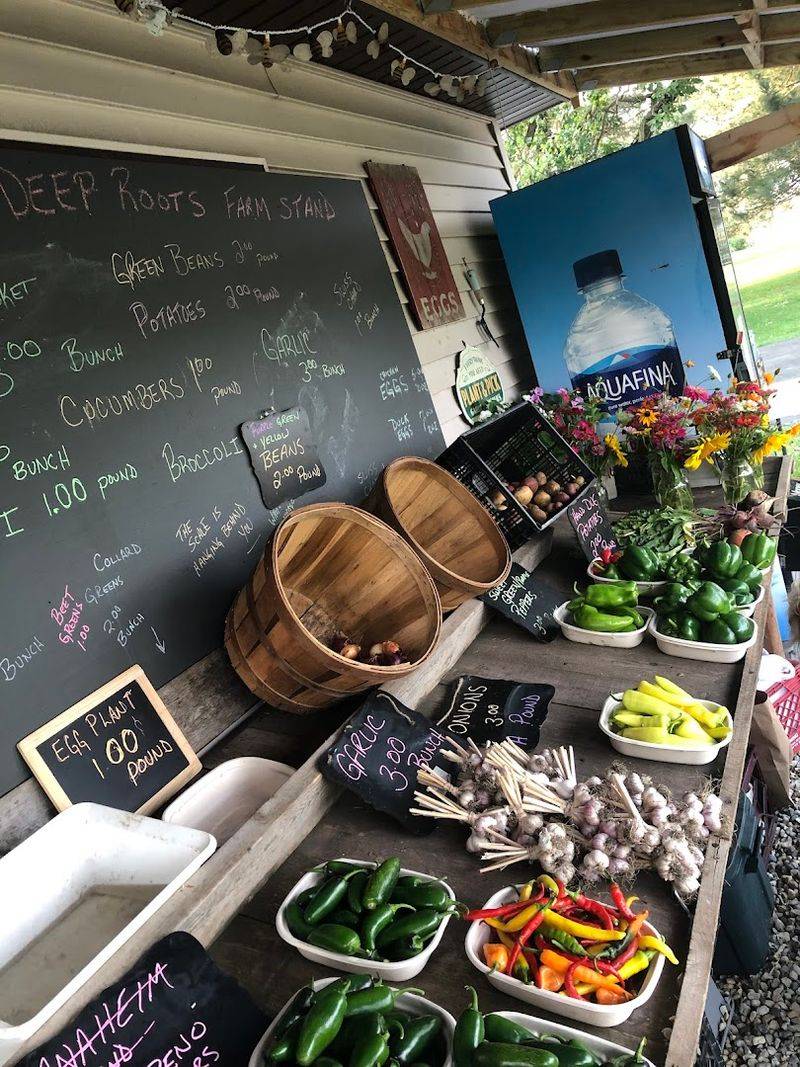 Deep Roots Farm Stand, Dundee Township